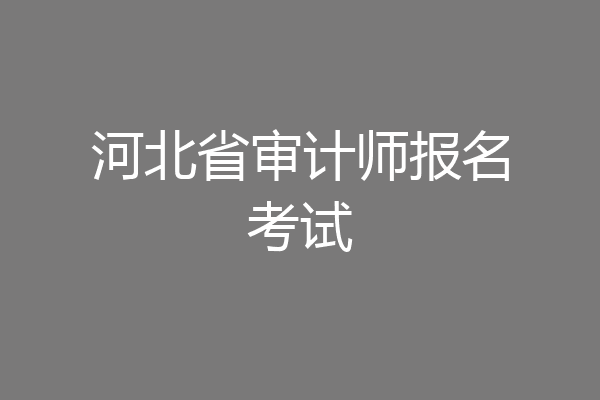 河北省审计师报名考试