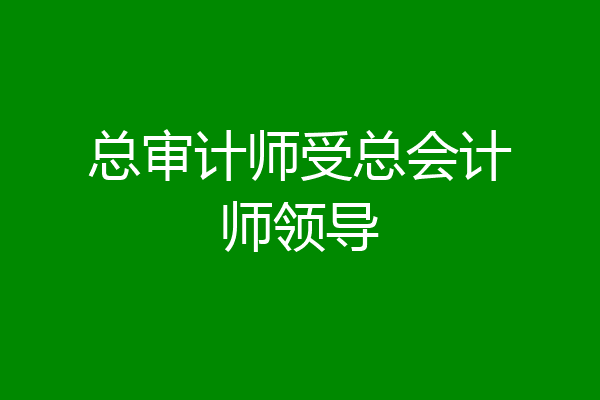总审计师受总会计师领导