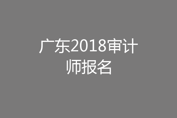 广东2018审计师报名