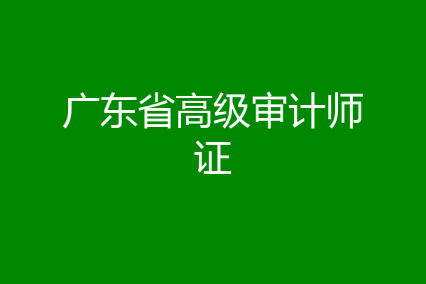 广东省高级审计师证