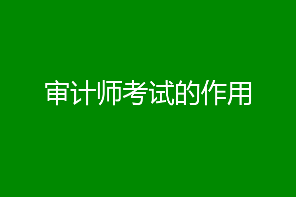 审计师考试的作用