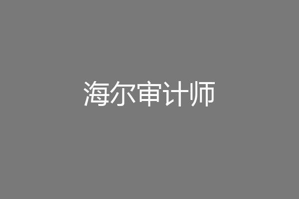 海尔审计师