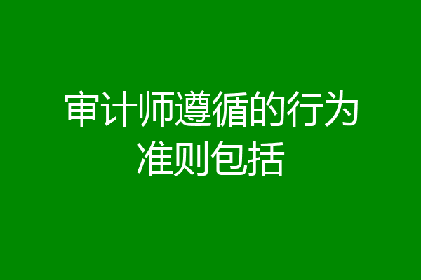 审计师遵循的行为准则包括