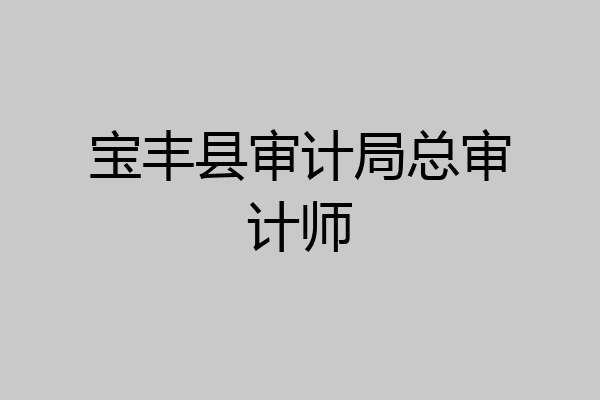 宝丰县审计局总审计师