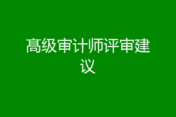 髙级审计师评审建议
