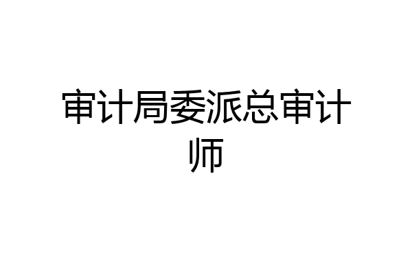 审计局委派总审计师