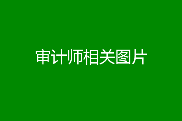 审计师相关图片
