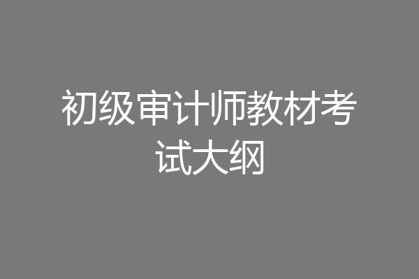 初级审计师教材考试大纲