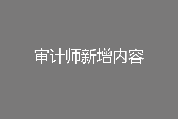 审计师新增内容