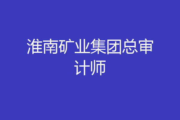 淮南矿业集团总审计师