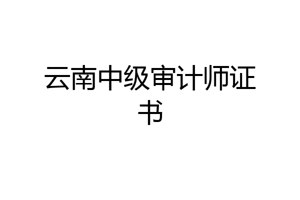 云南中级审计师证书