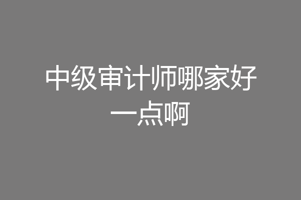 中级审计师哪家好一点啊