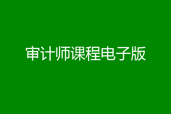审计师课程电子版