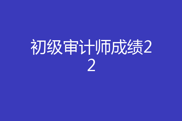 初级审计师成绩22