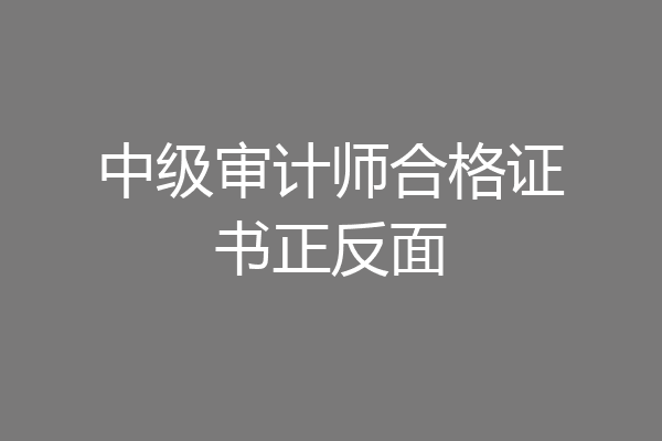 中级审计师合格证书正反面