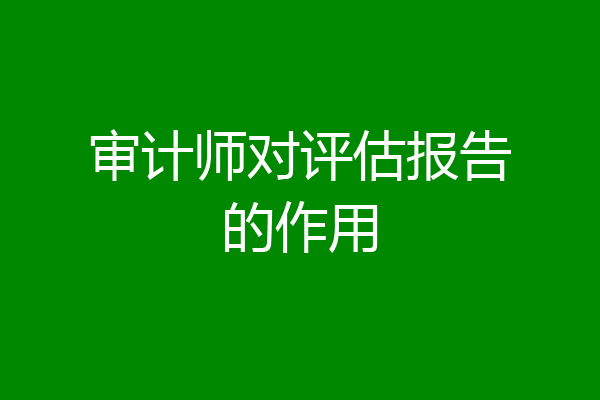 审计师对评估报告的作用