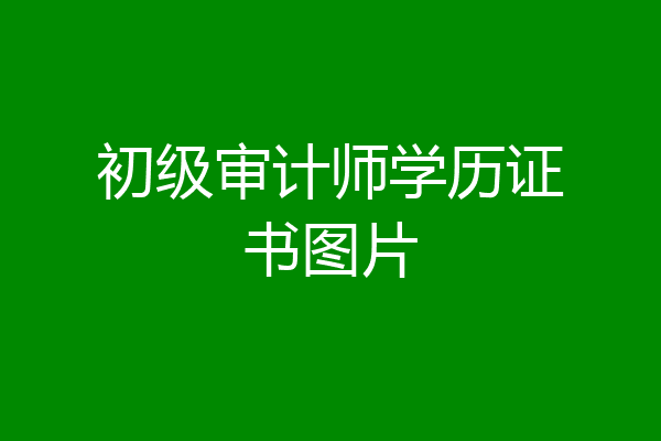 初级审计师学历证书图片