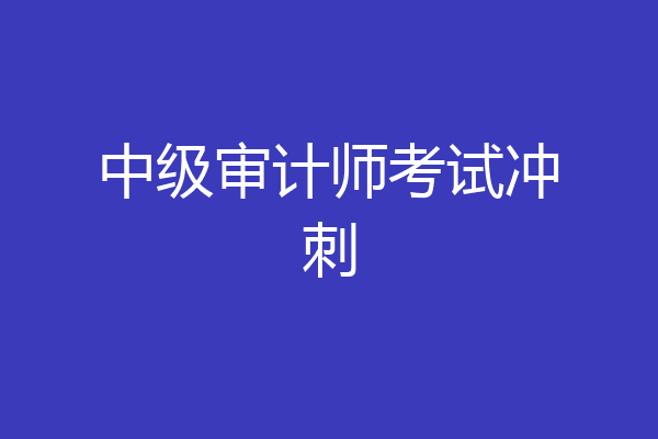 中级审计师考试冲刺