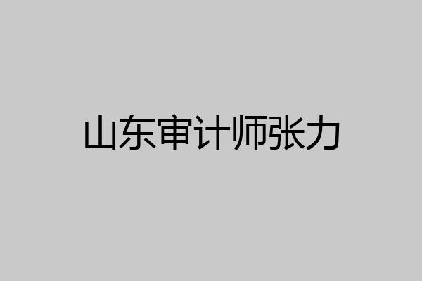 山东审计师张力
