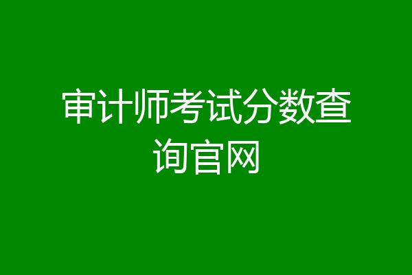审计师考试分数查询官网