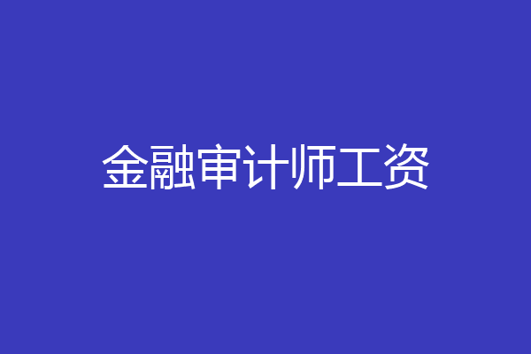 金融审计师工资