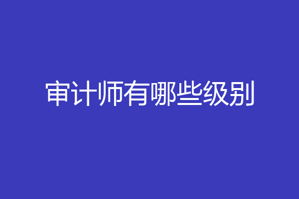 审计师有哪些级别