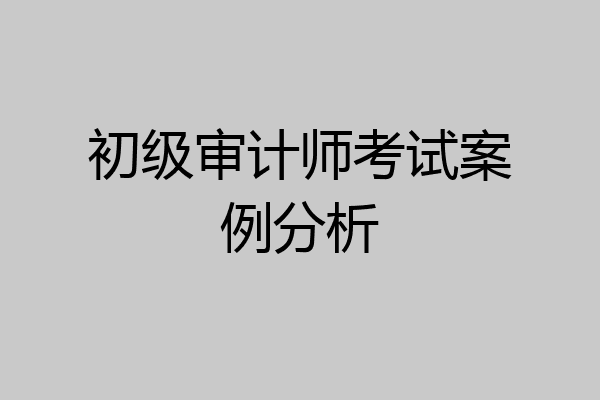 初级审计师考试案例分析