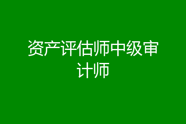 资产评估师中级审计师