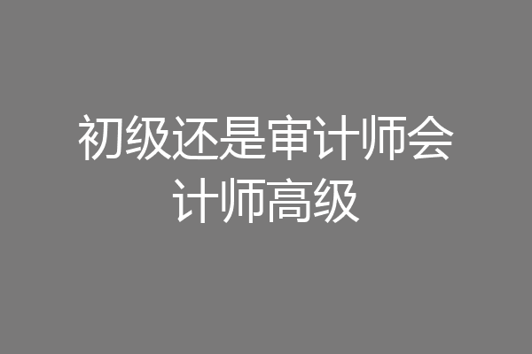 初级还是审计师会计师高级