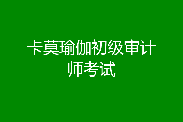 卡莫瑜伽初级审计师考试
