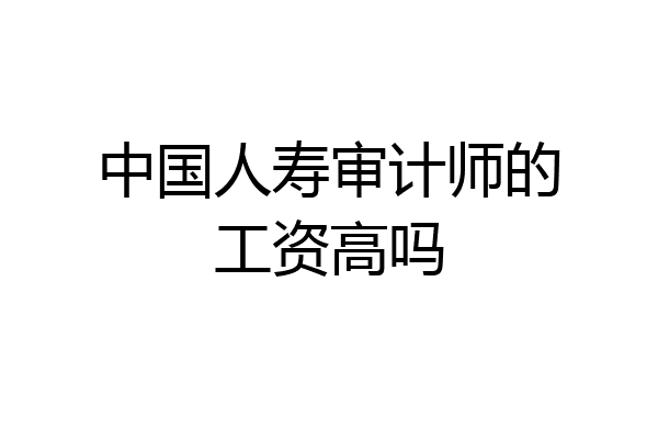 中国人寿审计师的工资高吗