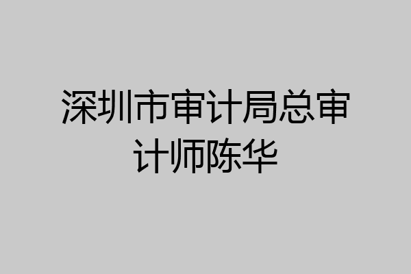 深圳市审计局总审计师陈华