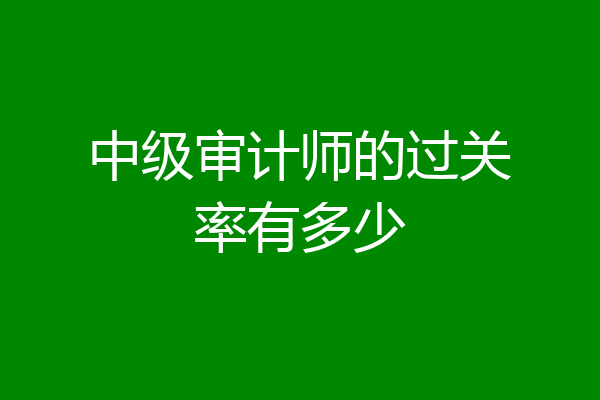 中级审计师的过关率有多少