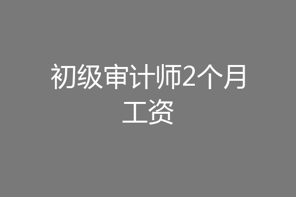 初级审计师2个月工资