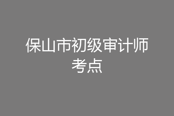 保山市初级审计师考点