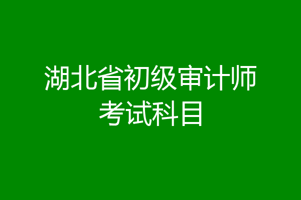 湖北省初级审计师考试科目