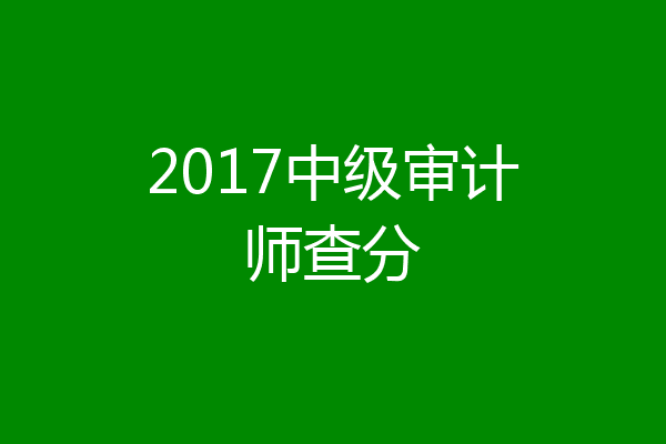 2017中级审计师查分