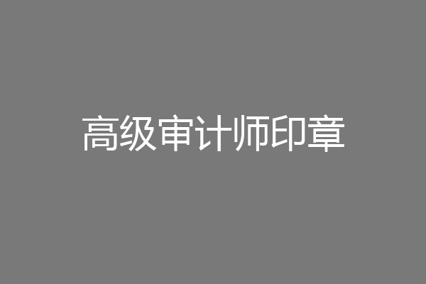 高级审计师印章