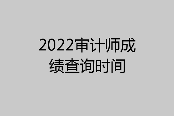 2022审计师成绩查询时间