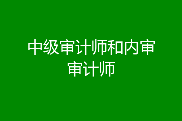 中级审计师和内审审计师