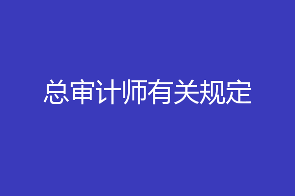 总审计师有关规定