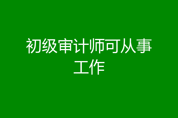 初级审计师可从事工作
