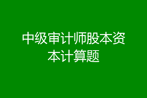 中级审计师股本资本计算题