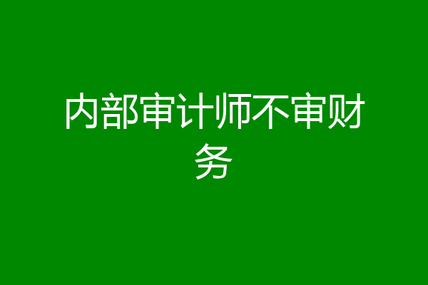 内部审计师不审财务