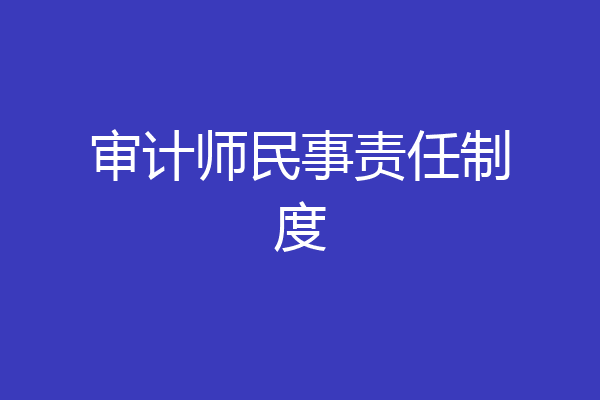 审计师民事责任制度