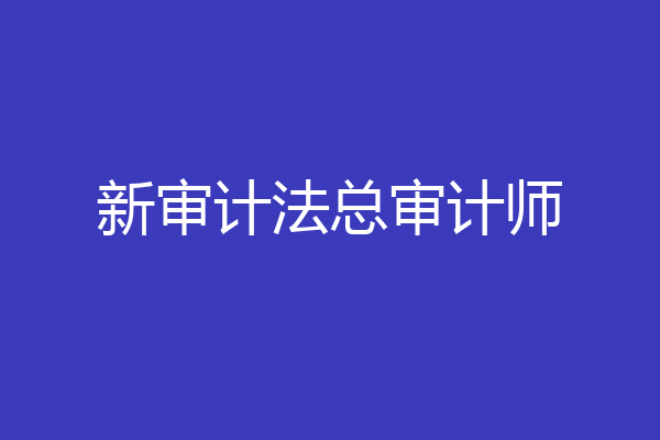 新审计法总审计师