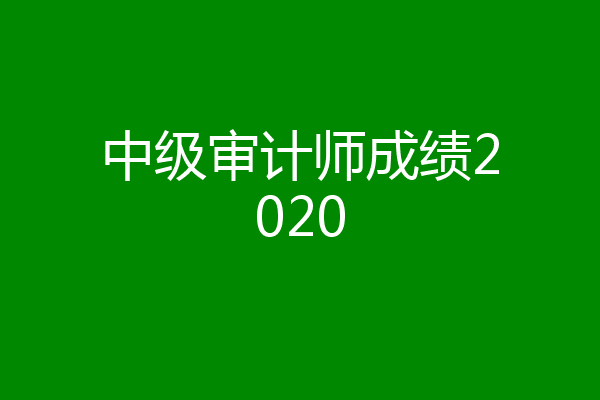中级审计师成绩2020