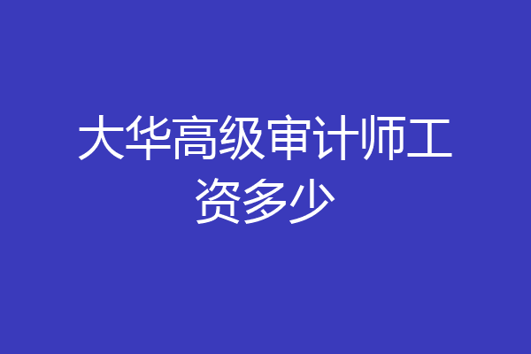 大华高级审计师工资多少