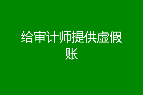 给审计师提供虚假账