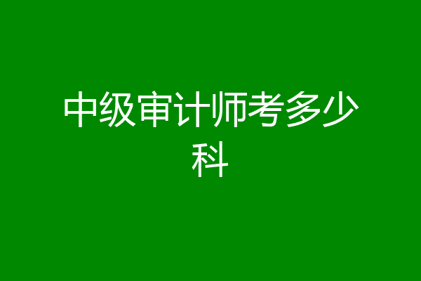 中级审计师考多少科
